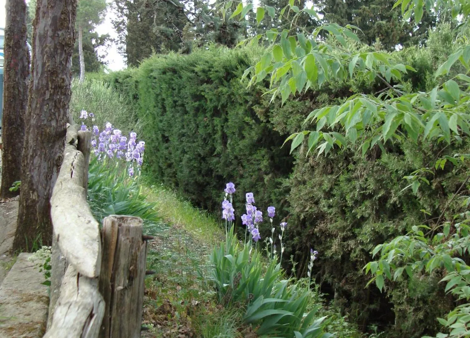 Camping Village Panoramico Fiesole